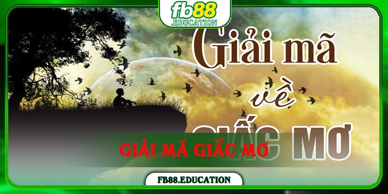 Giải Mã Giấc Mơ - Gợi Ý Những Con Số May Mắn Cho Lô Thủ