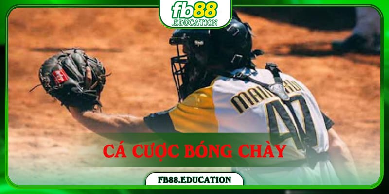 Cá Cược Bóng Chày - Bí Quyết Chốt Thưởng “Khủng” 2024